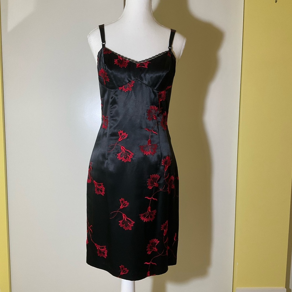 BNWT Stunning Lola embroidered dress size 8